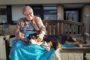 Impressionen - Tiergestützte Pädagogik Greven - Tierbegleithundeteam