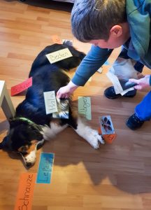 Impressionen - Tiergestützte Pädagogik Greven - Tierbegleithundeteam