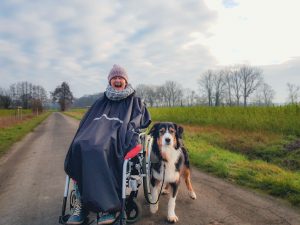 Impressionen - Tiergestützte Pädagogik Greven - Tierbegleithundeteam
