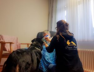 Impressionen - Tiergestützte Pädagogik Greven - Tierbegleithundeteam