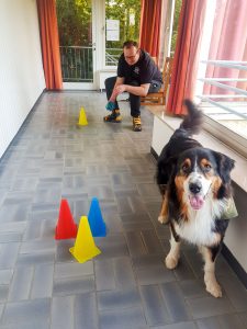 Impressionen - Tiergestützte Pädagogik Greven - Tierbegleithundeteam