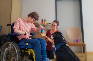 Impressionen - Tiergestützte Pädagogik Greven - Tierbegleithundeteam