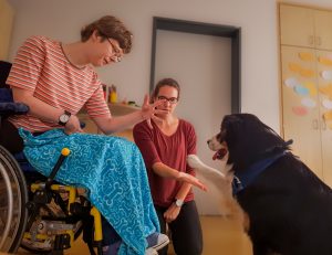 Impressionen - Tiergestützte Pädagogik Greven - Tierbegleithundeteam