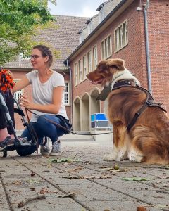 Impressionen - Tiergestützte Pädagogik Greven - Tierbegleithundeteam