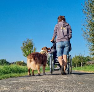 Impressionen - Tiergestützte Pädagogik Greven - Tierbegleithundeteam