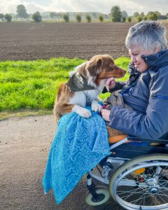 Impressionen - Tiergestützte Pädagogik Greven - Tierbegleithundeteam