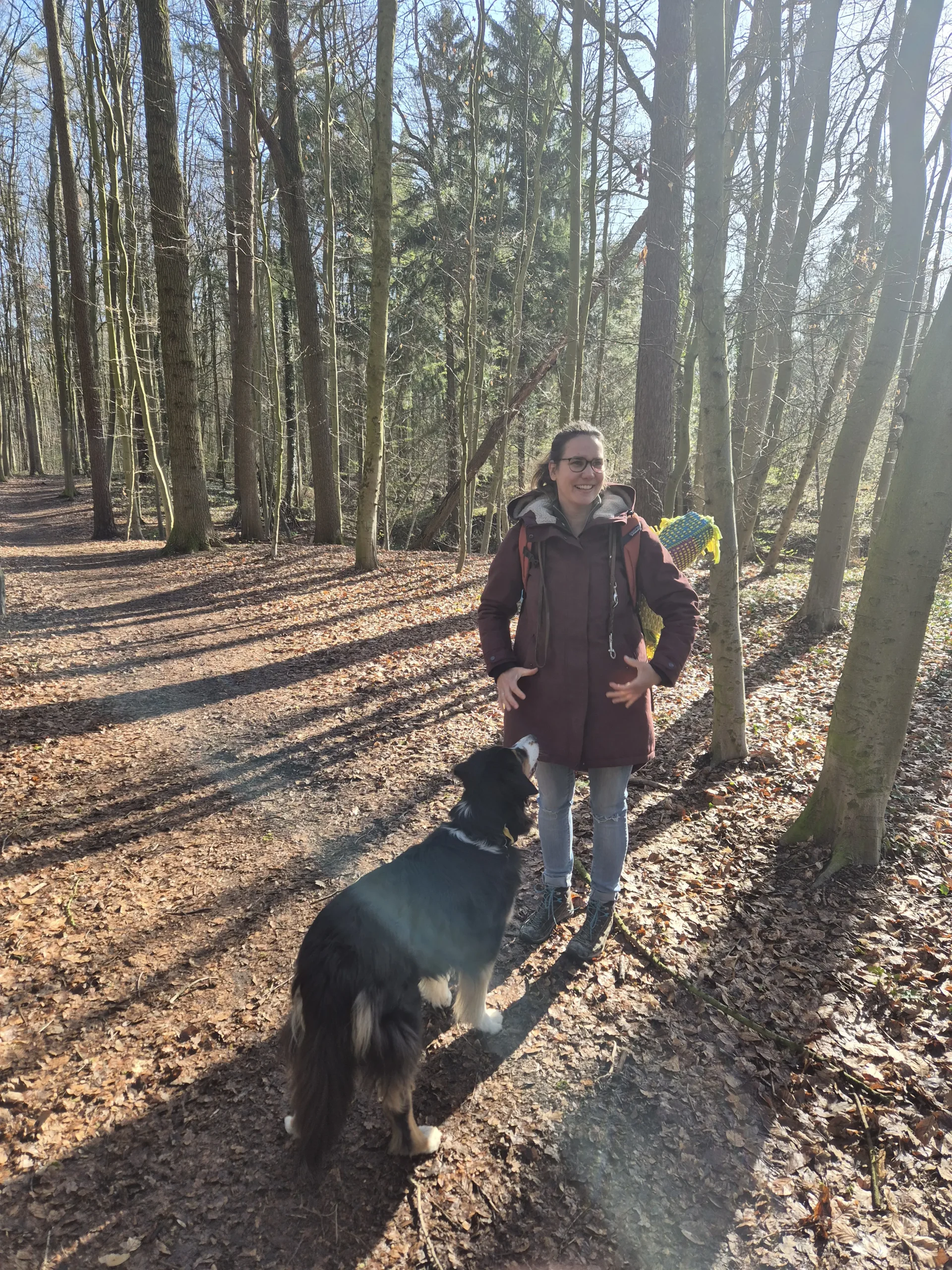 Zusatzbild 1 zum Angebot 3